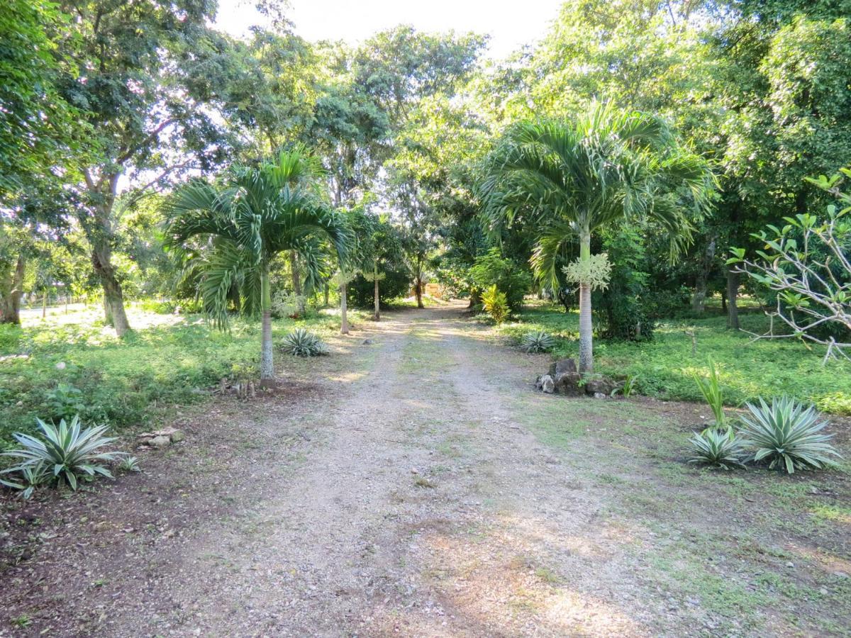 Cabanas Calakmul Villa Conhuas Esterno foto