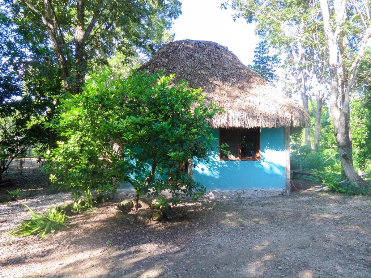 Cabanas Calakmul Villa Conhuas Esterno foto