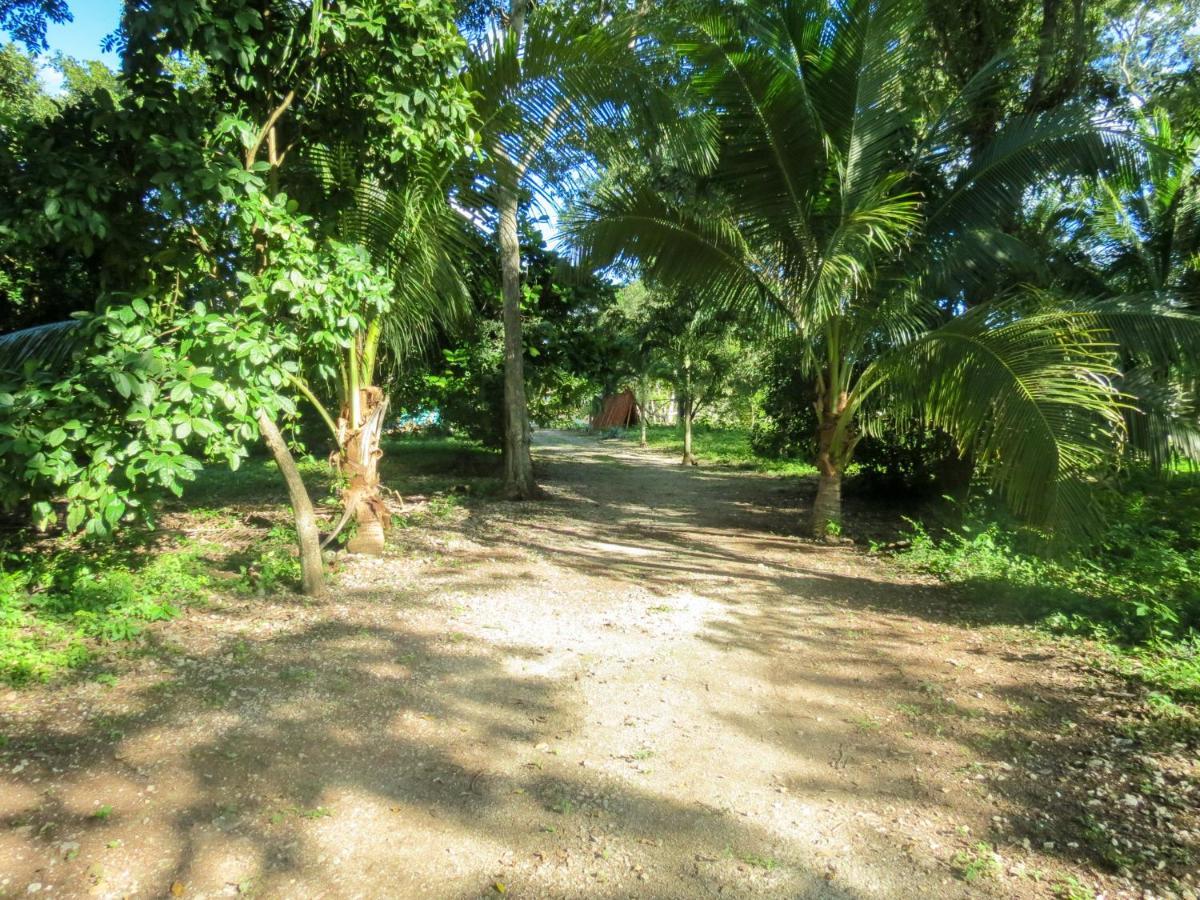 Cabanas Calakmul Villa Conhuas Esterno foto